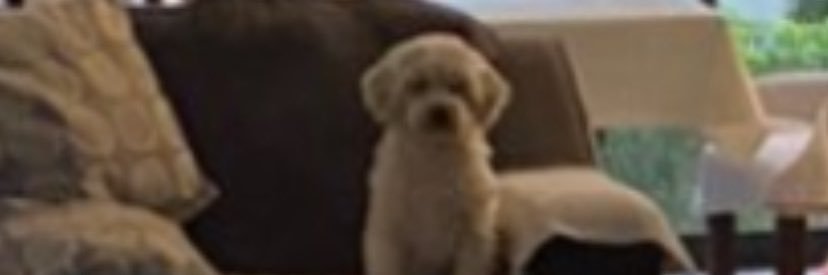 luceromhv's profile banner image