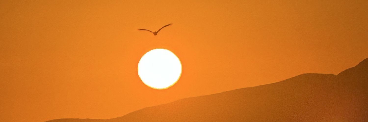 mrdeniro banner