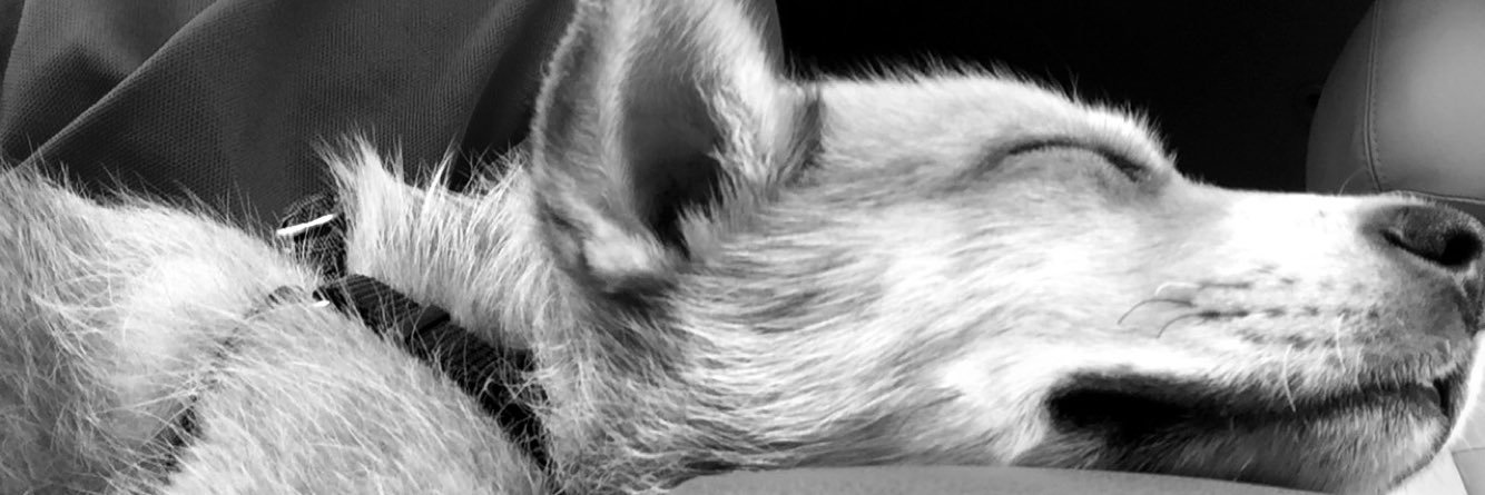 gianc021's profile banner image