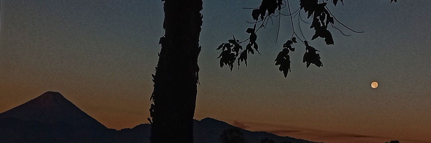 cividaniz's profile banner image