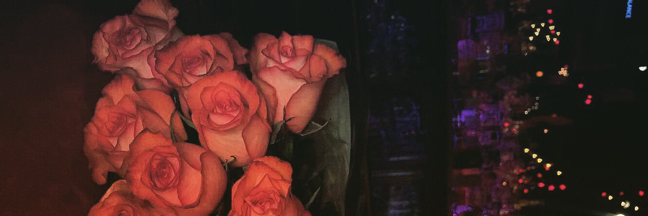 WoahGirl's profile banner image