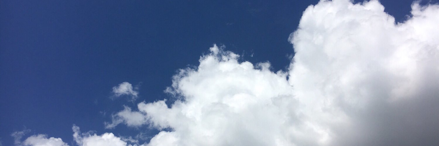 조현수토익 banner