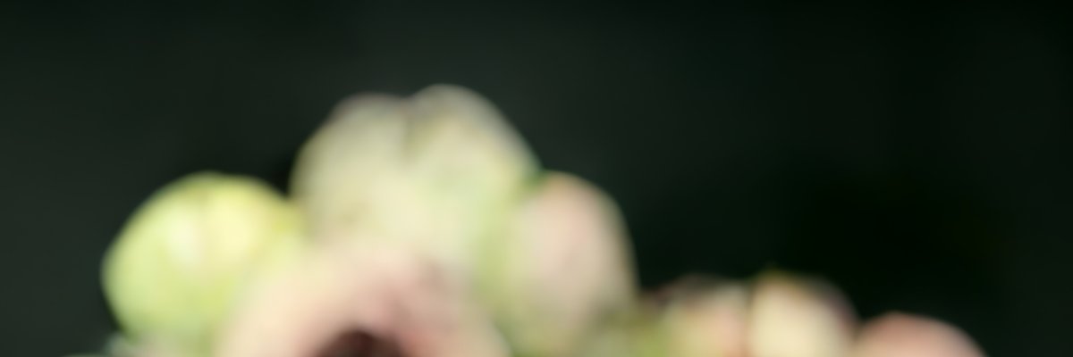 cly5m's profile banner image