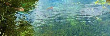 𝘾𝙝𝙞𝙥𝙥🌈🍏 banner