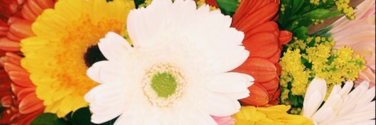 HannahRider2's profile banner image