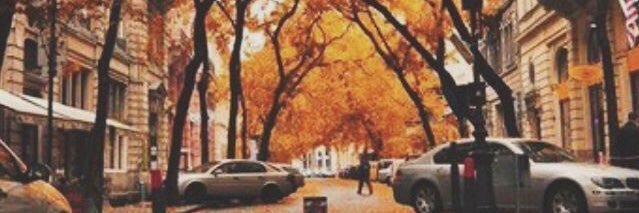 SwansonLiz08's profile banner image