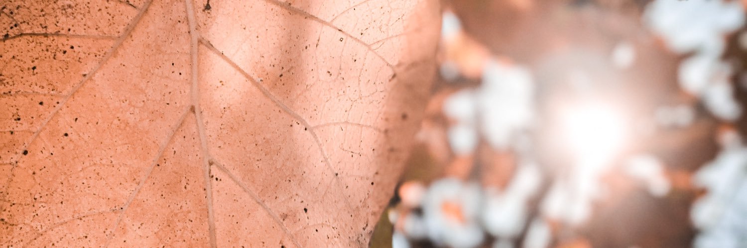 giselaparisi's profile banner image