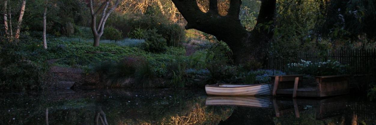 MAAdlerWrites's profile banner image