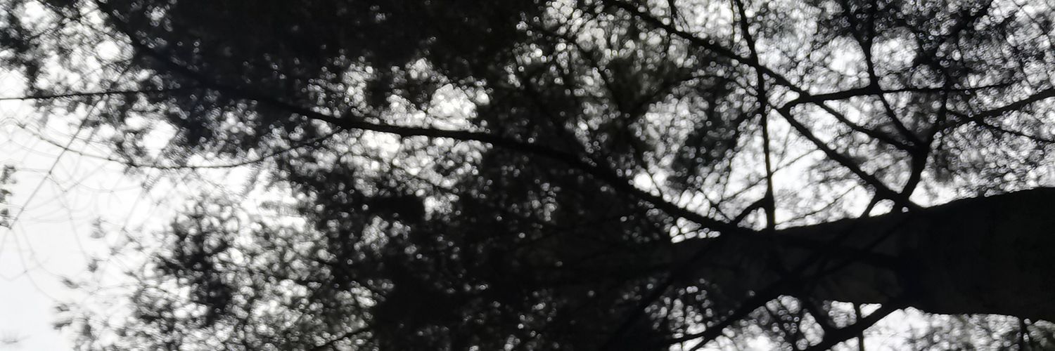 kikelsd's profile banner image