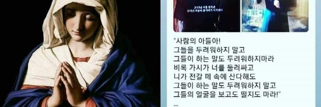 강유식 (Conan Kang ) banner