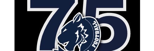Edmonton Wildcats banner