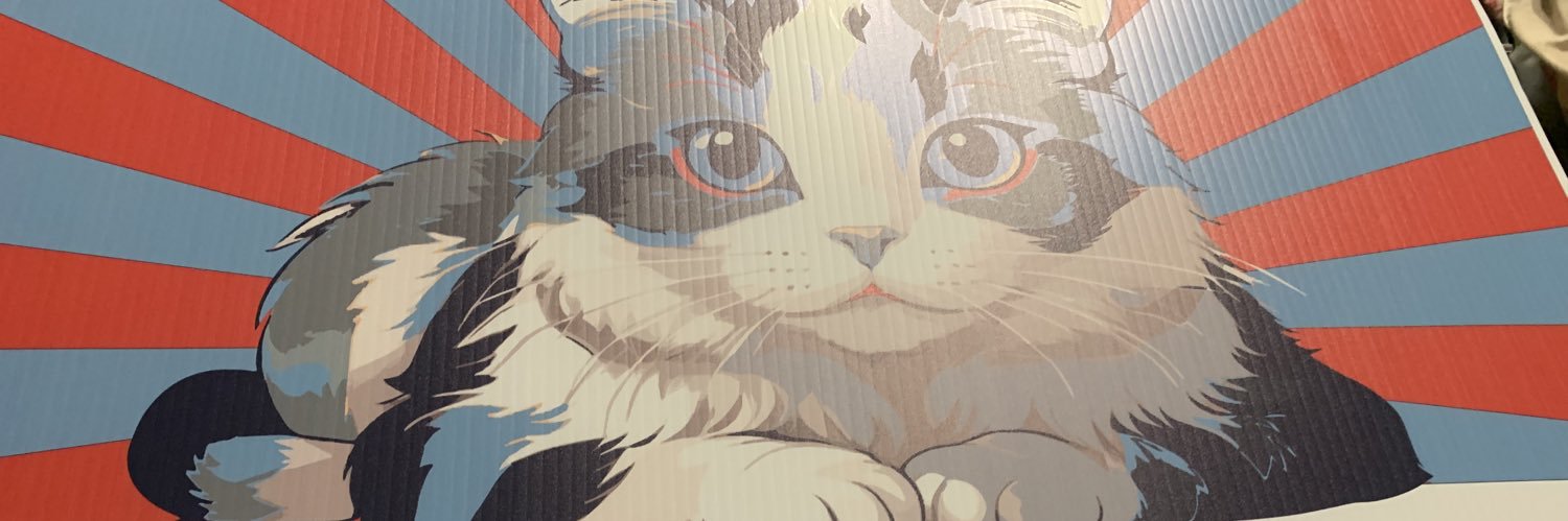 gothbunnyodoom's profile banner image