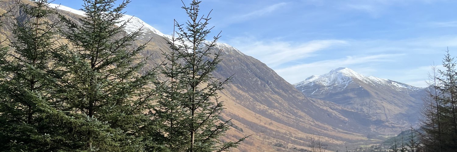 Gail_Afonso's profile banner image