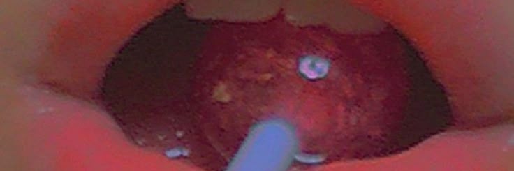 haleydwhite's profile banner image