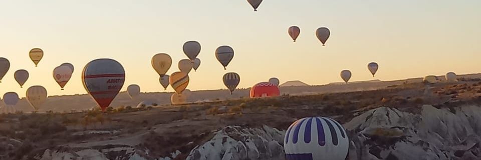 ольга зданович banner