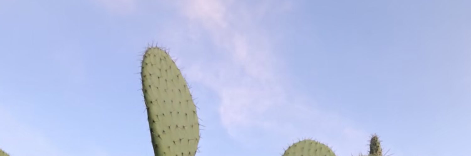 la_paloo's profile banner image