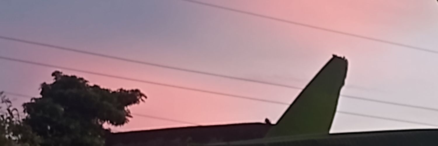 ChelyDiazR's profile banner image