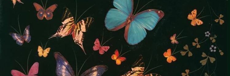 salvearb's profile banner image