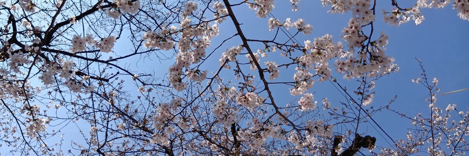 suturoom's profile banner image