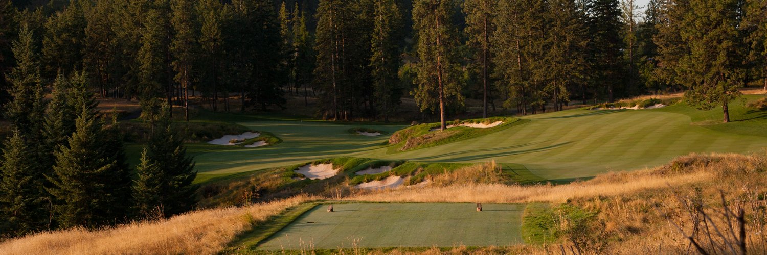 Christian Andrade banner