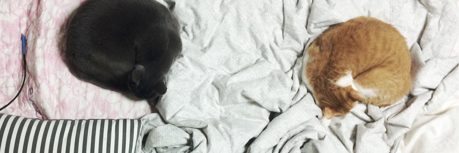 miiiiyo_P's profile banner image