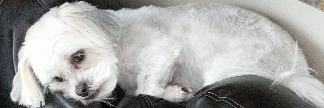 brebbbbb's profile banner image