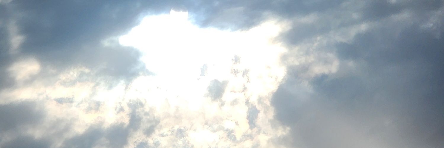 Halim Zahir Colson banner