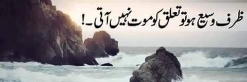 Aisha Ghauri banner