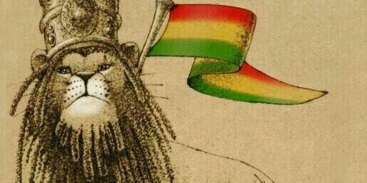 riccardoshark's profile banner image