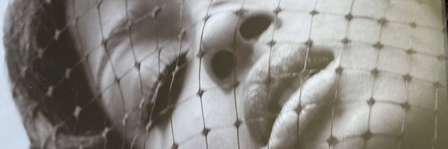 Essential Twerker banner