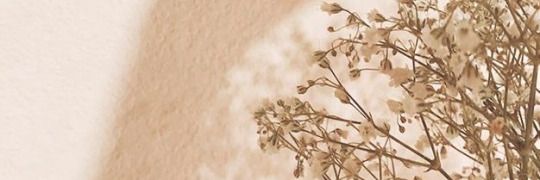 moressuntduri's profile banner image