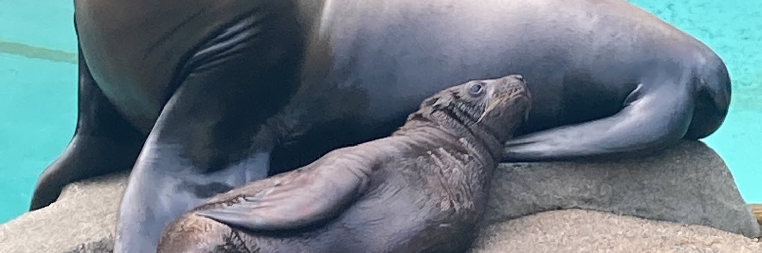 NickSakich's profile banner image