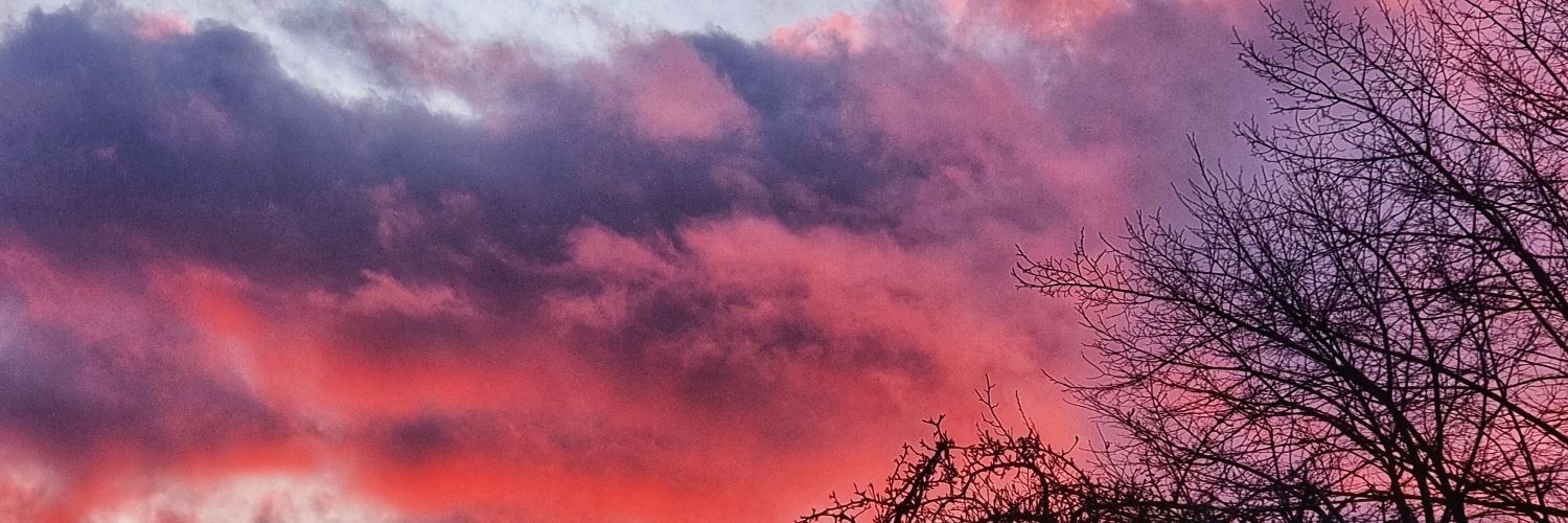 zabrism's profile banner image