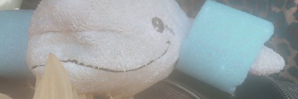 hearkittykitty Profile Banner