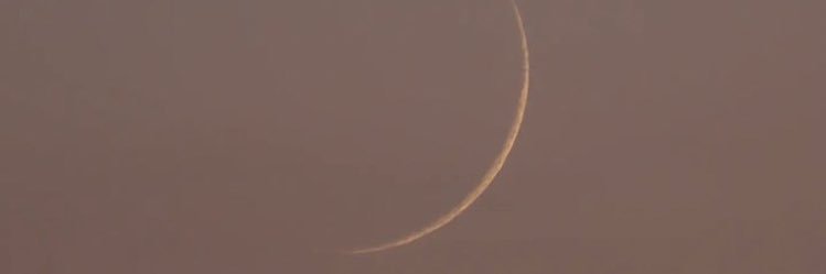 sappy_tool's profile banner image