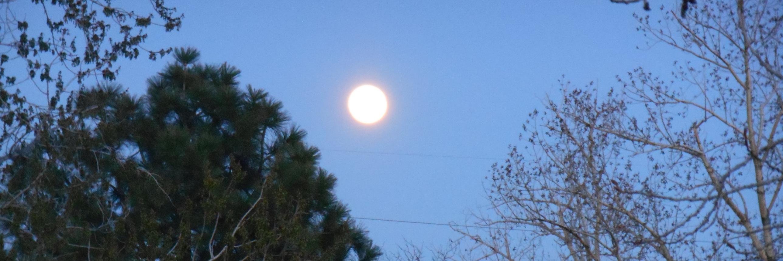 Jennifer Jones banner