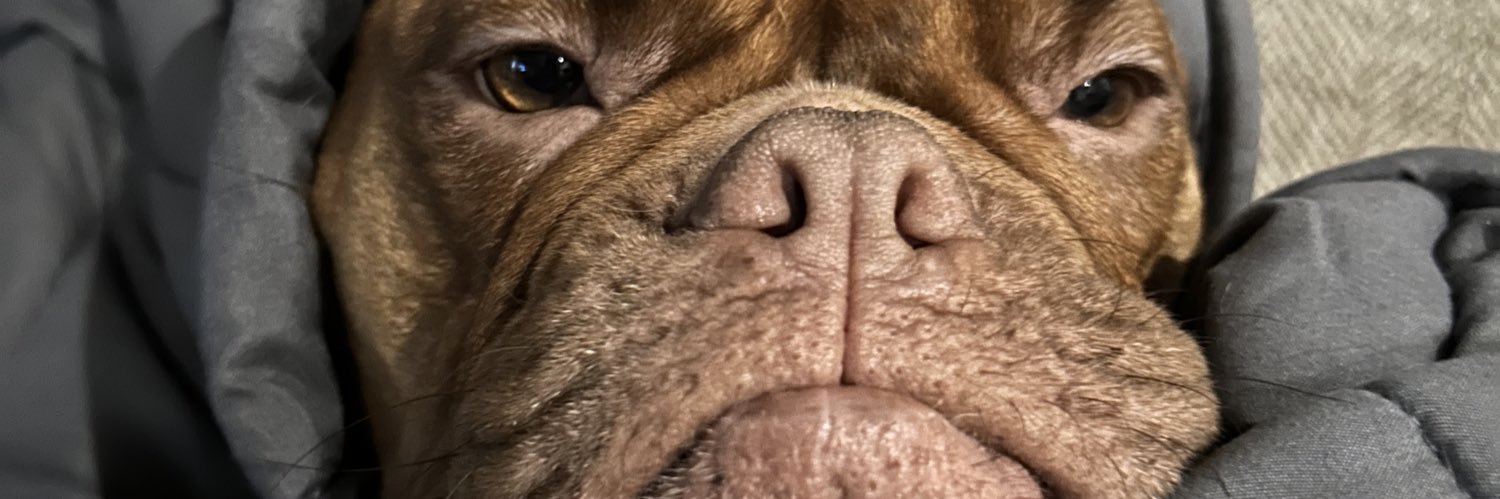 caatney's profile banner image
