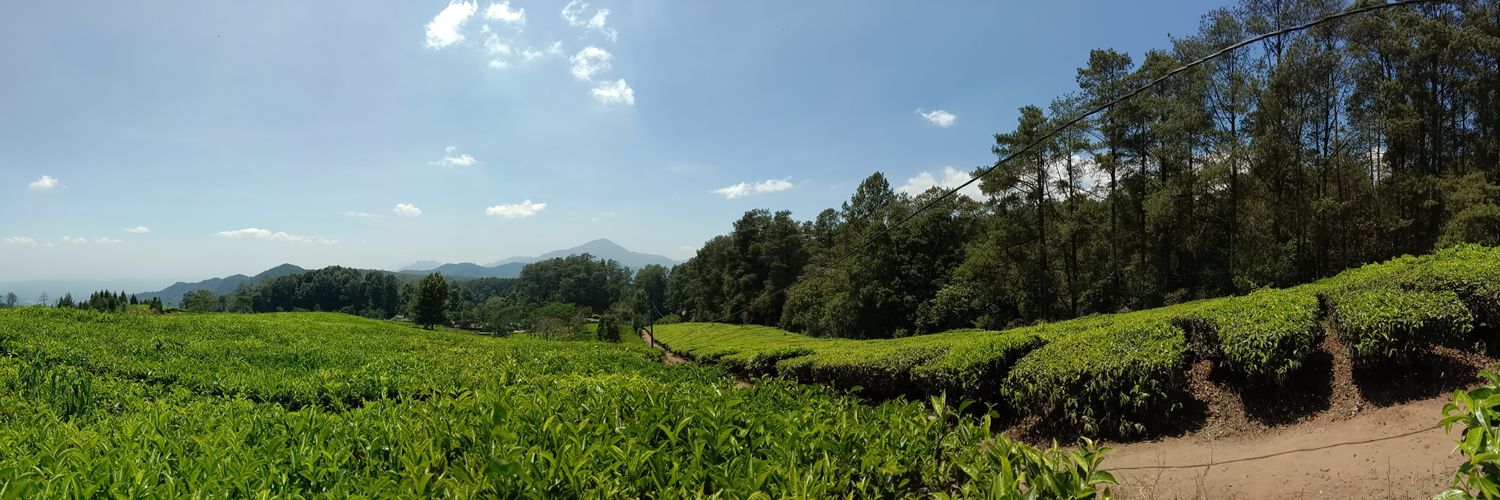 readone_28's profile banner image