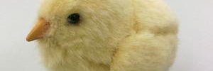 ひろ banner