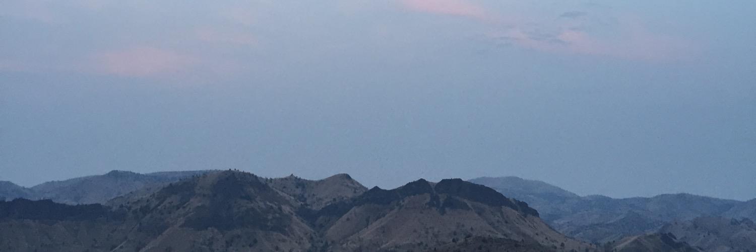 jasminetimm's profile banner image