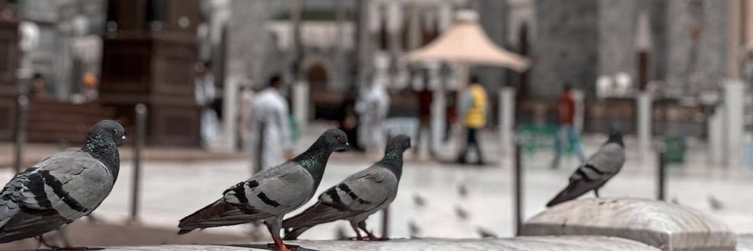we_here_you's profile banner image