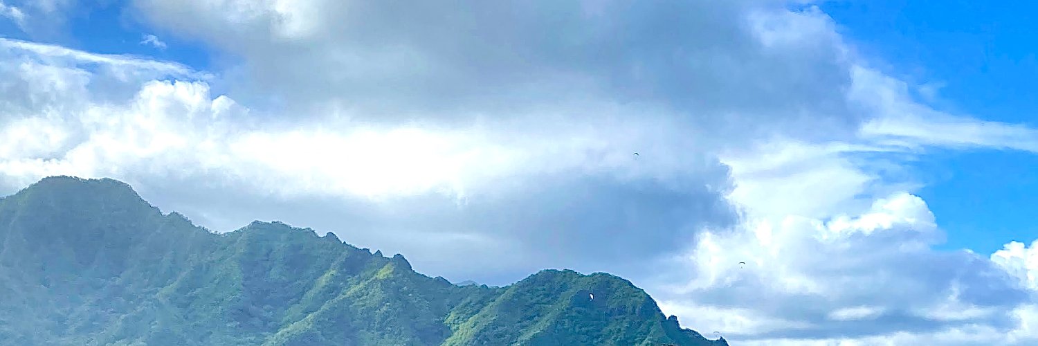Swuuuuu's profile banner image