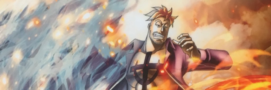 紫苑🍍🍍🍍 banner