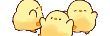 hygee_524's profile banner image