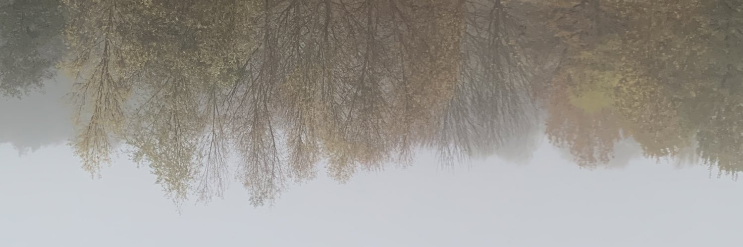 dmitry_sch's profile banner image