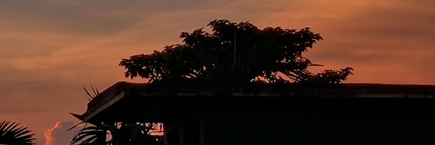 DireDeedsAwake's profile banner image