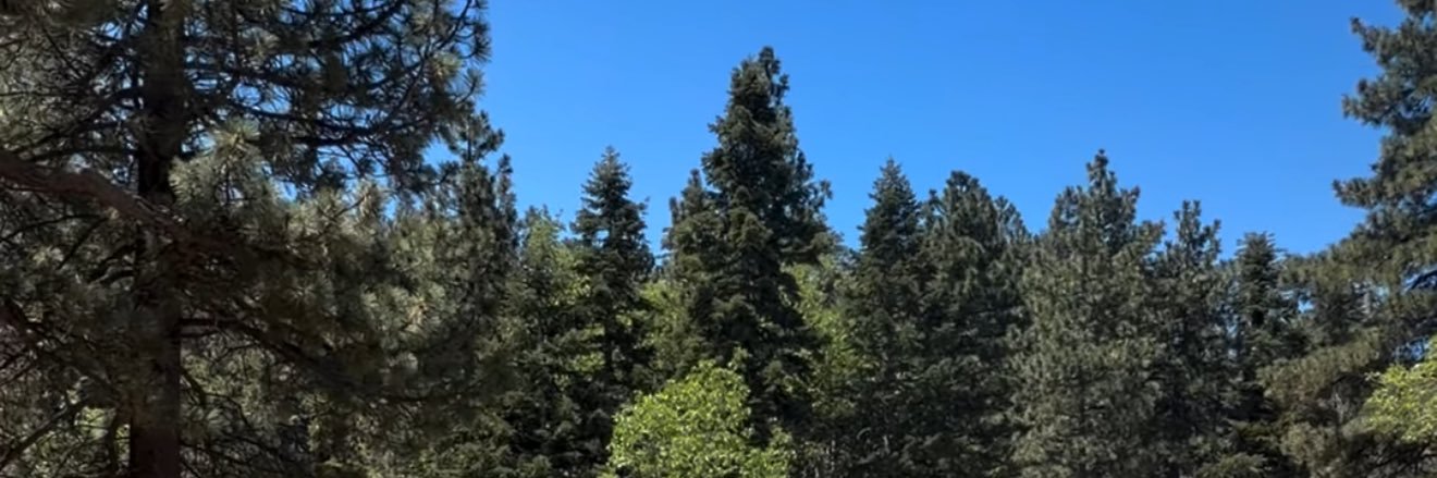 chaod3r's profile banner image