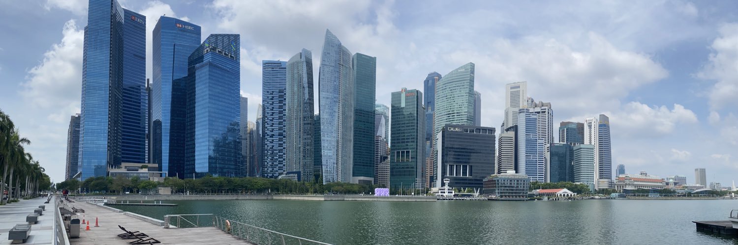 Nam Soon LIEW banner