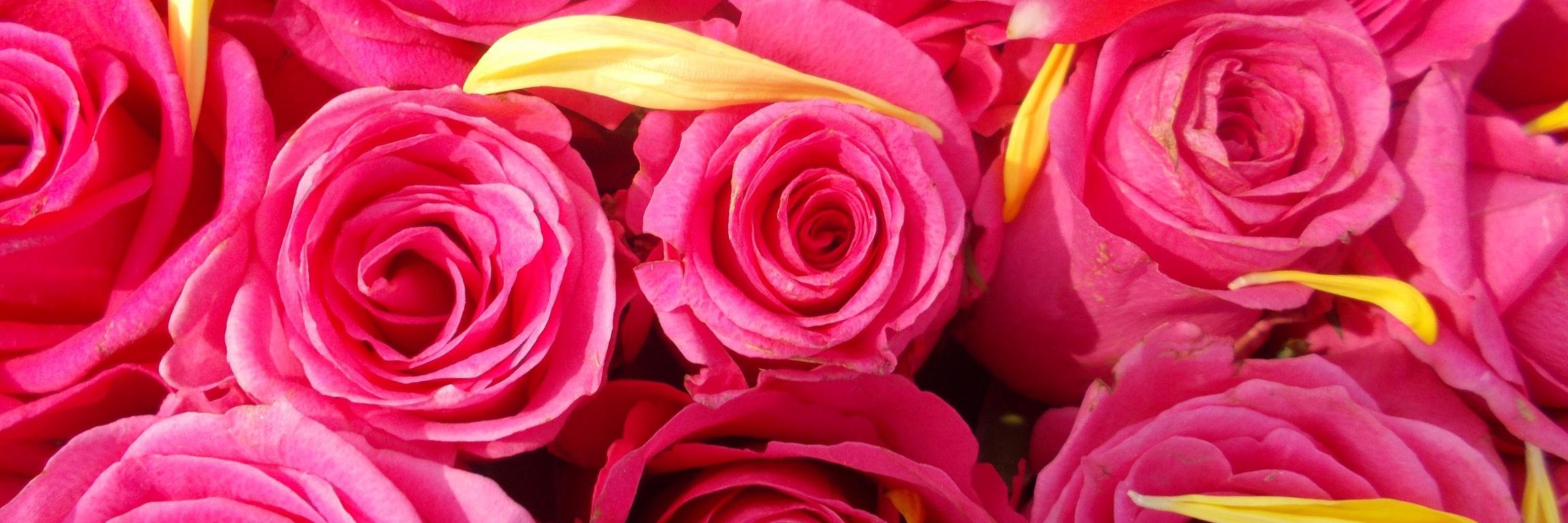 BeUtkarsh's profile banner image