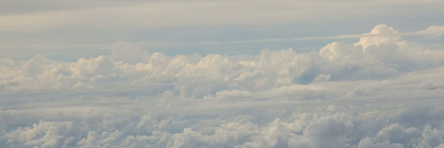 mitsugo's profile banner image
